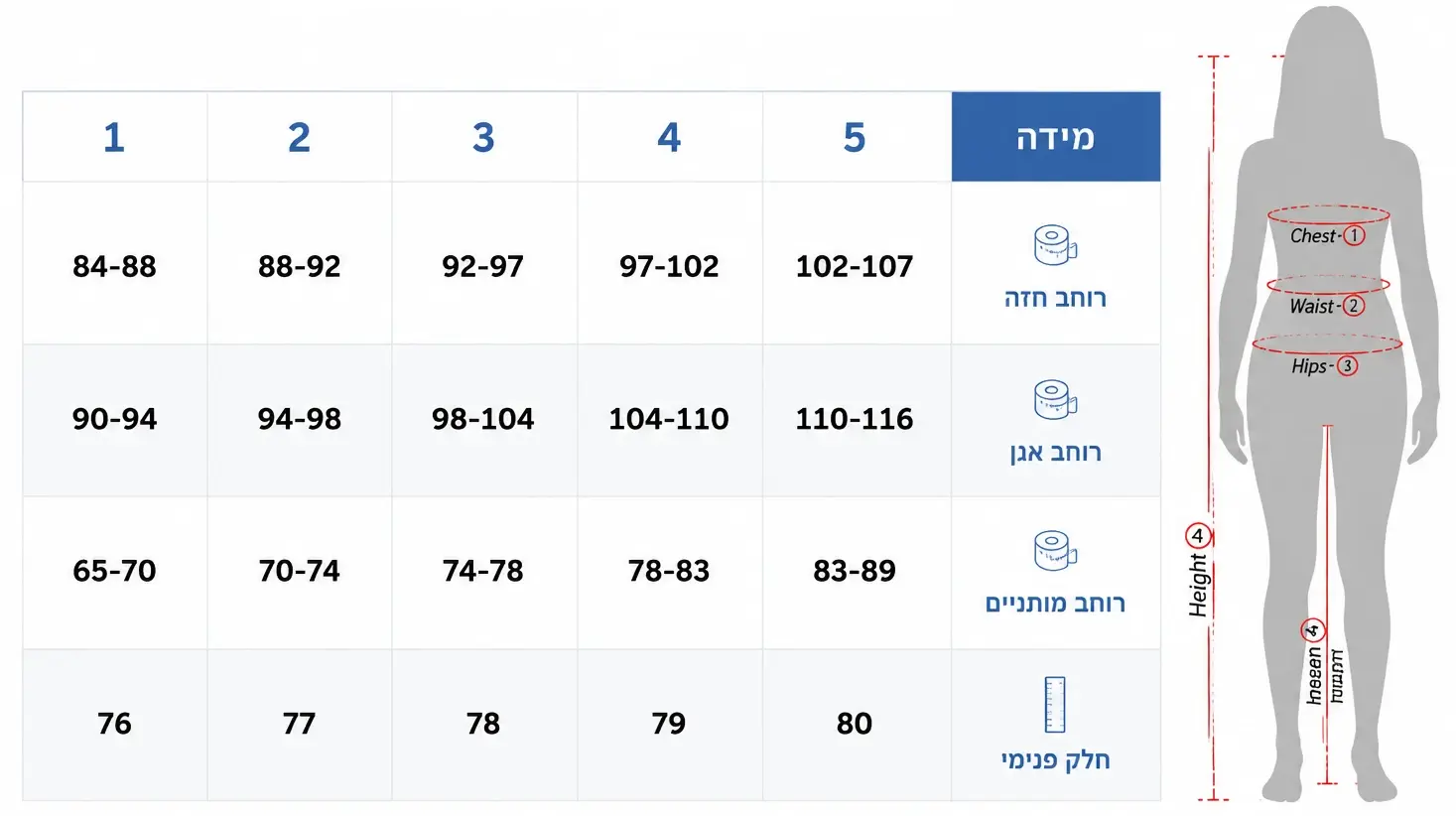 טבלת מידות